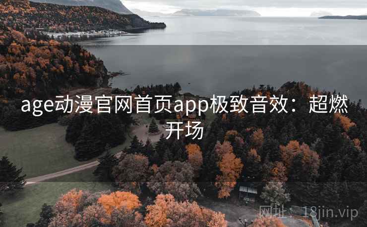 age动漫官网首页app极致音效：超燃开场