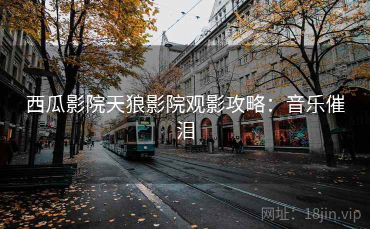 西瓜影院天狼影院观影攻略：音乐催泪